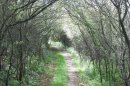 Vallée du chemin de Davenescourt